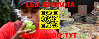 apvp Кандалакша
