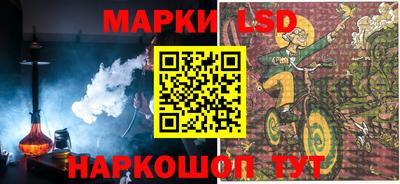 2c-b Камышлов