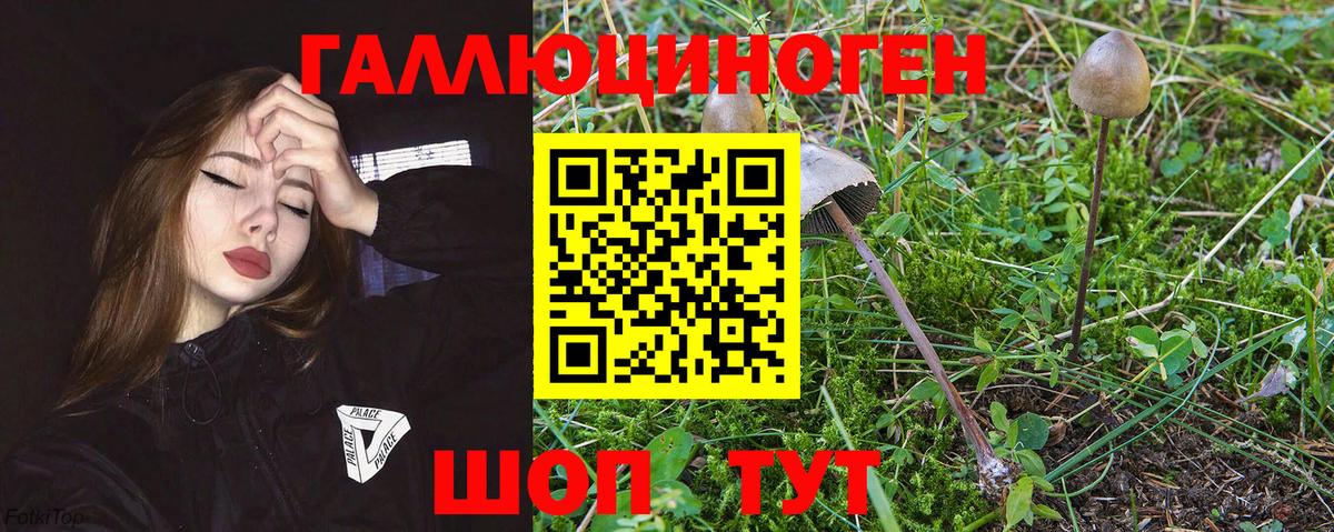 Галлюциногенные грибы мухоморы  Вход с VPN  Луховицы 