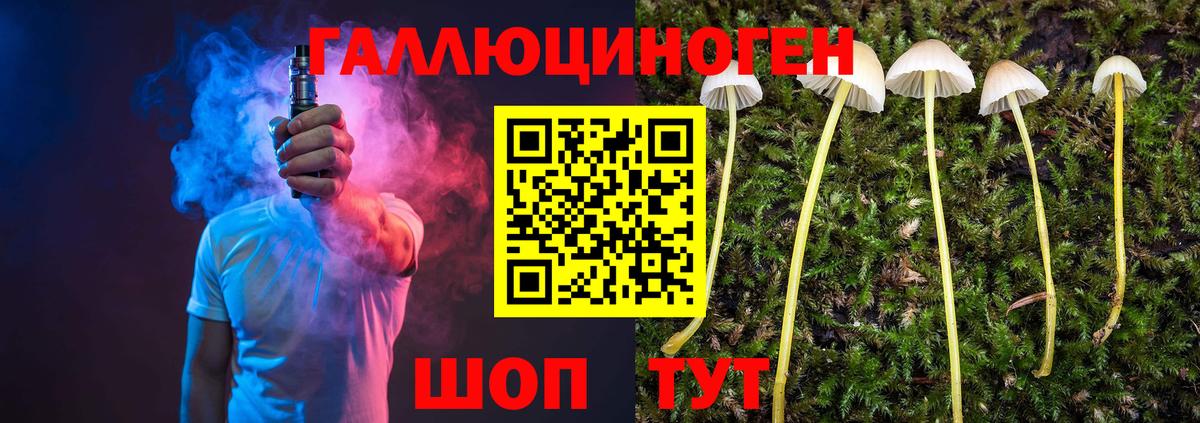 Псилоцибиновые грибы Psilocybe Луховицы